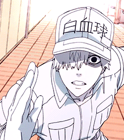 2a908de3f2dd6e73f851b31d8ac2b37547b3fb33r1-250-281_hq